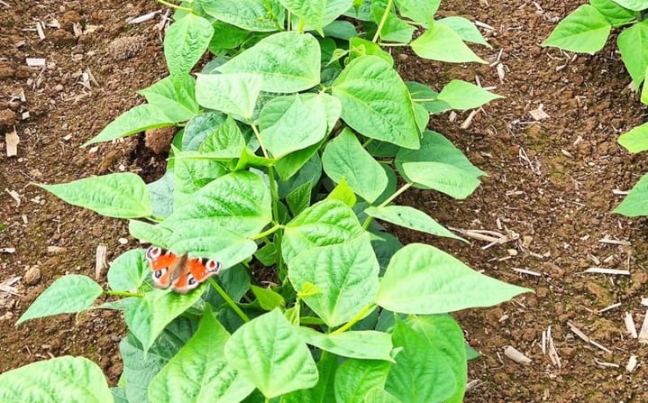 1638947013735-scaled-e1639563552443