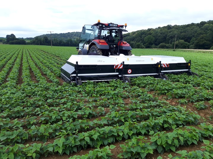 20210714_111025-scaled