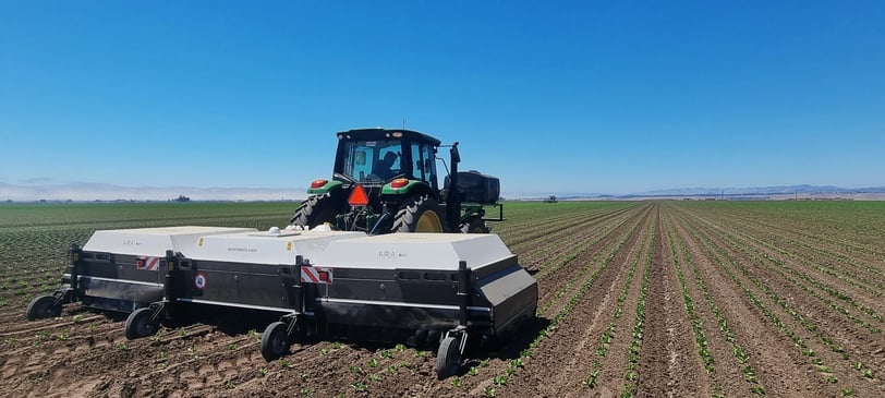 ARA-in-california-scaled