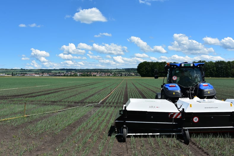 IAE_EGGER_OIGNONS_25