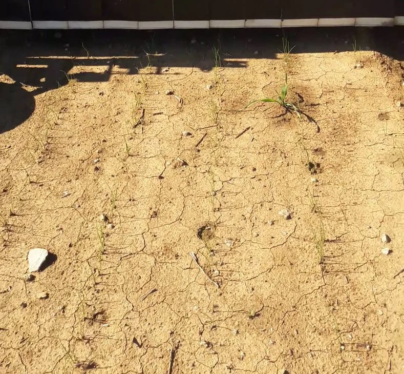 extrait_2021-09-27_BCO_Loiret-e1644851882713